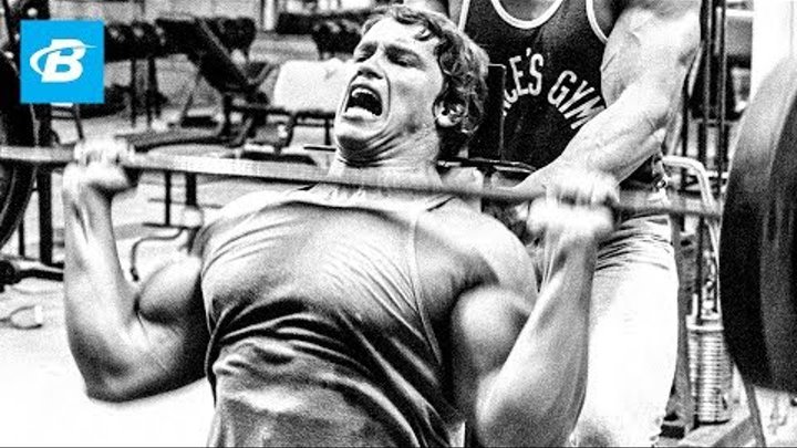 Download Schwarzenegger motivation For Free Schwarzenegger Motivation