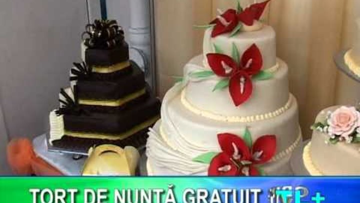 Cofetaria Rodna Torturi Nunti Prajituri Baia Mare