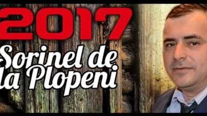 Muzica De Petrecere Sorinel De La Plopeni