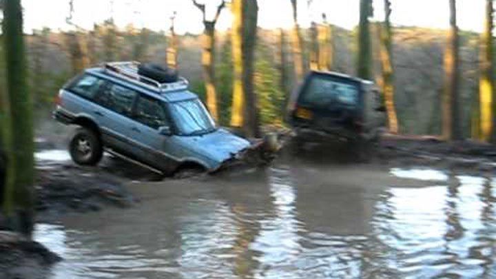 Range Rover P38 Software Range Rover P38 Software