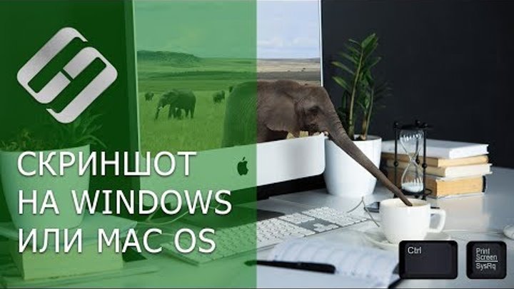 Как сделать скриншот экрана на компьютере или ноутбуке с Windows или MacOS 💻⌨️🖼️