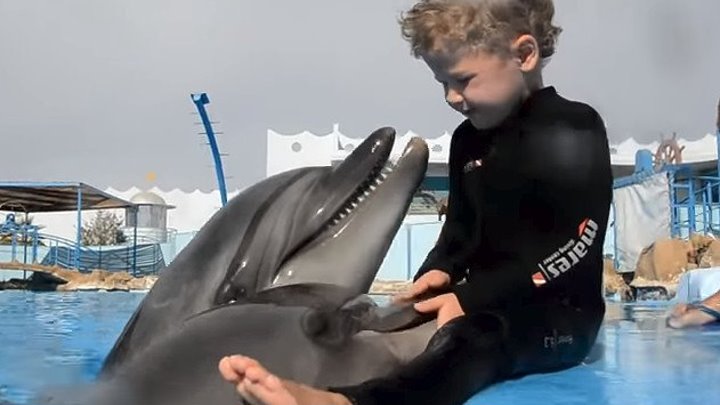 Дельфины очень милые существа. Сколько же в них любви к людям. Это потрясающе!