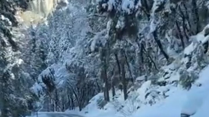 Красота зимней природы в Йосемитском парке