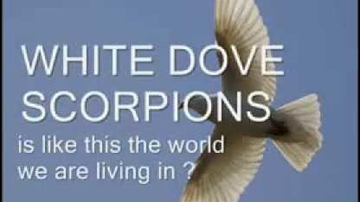 Scorpions dove