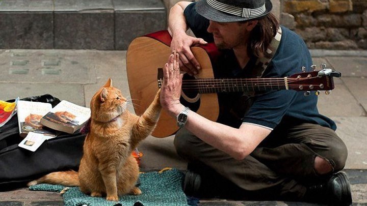 Уличный кот по кличке Боб (2016 WEB-DLRip) Комедия, Семейный, Биографический