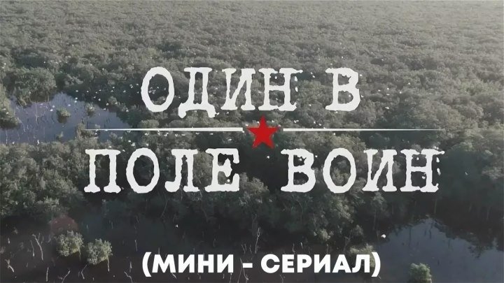 Один в поле воин "мини-сериал" (2018) 720HD