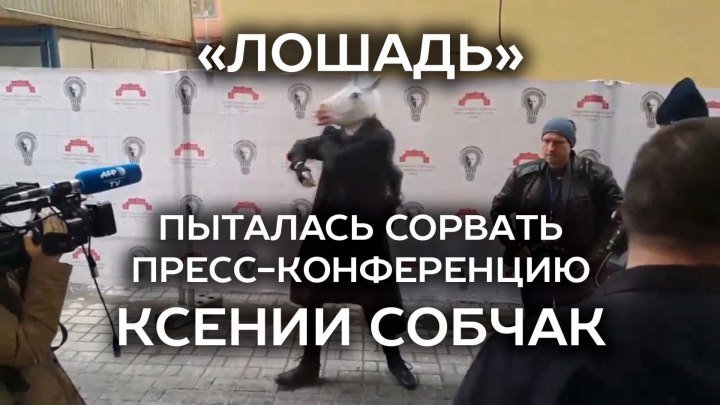 «Лошадь» пыталась сорвать пресс-конференцию Ксении Собчак