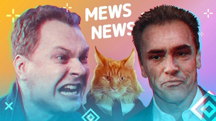 Mews News | Шварцнеггер, Хованский, котобудильник