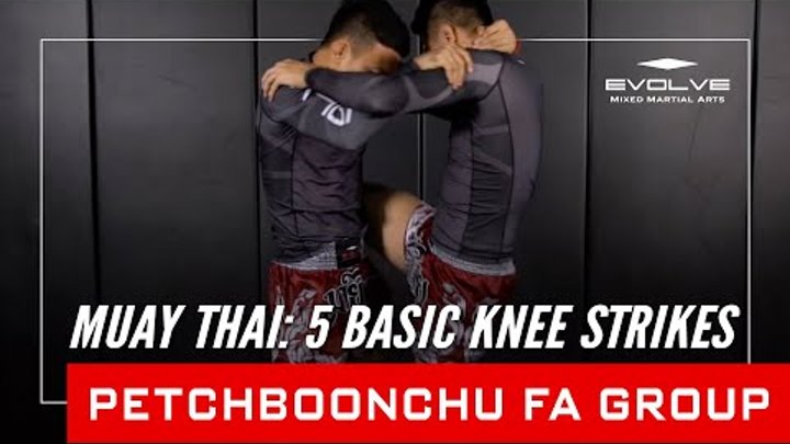 Muay Thai: 5 Basic Knee Strikes From The Muay Thai Clinch | Evolve University