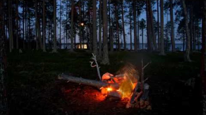 Звуки природы Костер в лесу Потрескивание костра Пение птиц Sounds of nature Bonfire in the forest