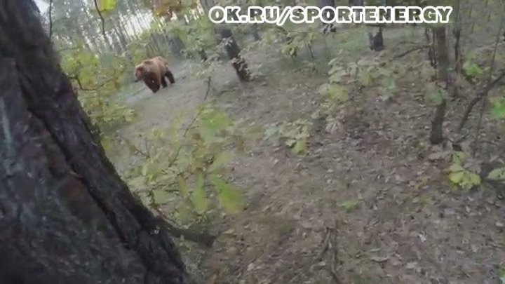 Погоня медведя,слабонервным не смотреть! Ставим класс,чтобы другие тоже увидили)))