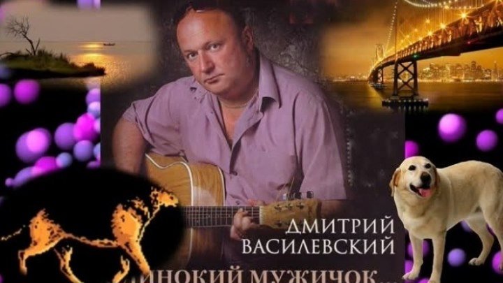 Дмитрий Василевский - Одинокий мужичок за пятьдесят.