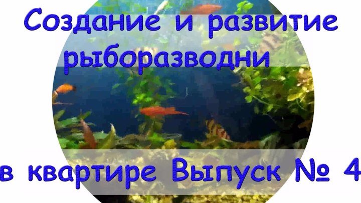 Создание и развитие рыборазводни в квартире Выпуск №4