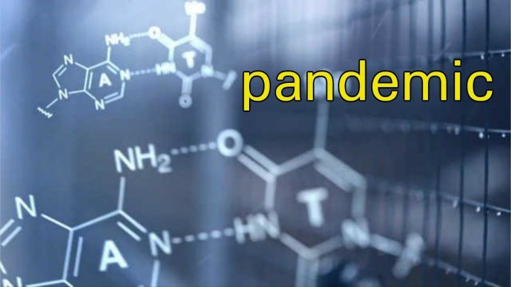 Пандемия \ Pandemic (ужасы, игра, фэнтези)
