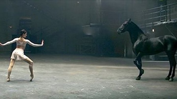 Красота и грация: балерины и лошадь.