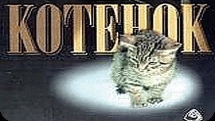 Котенок (1996) Лучшие семейные фильмы _ Фильмы про животных