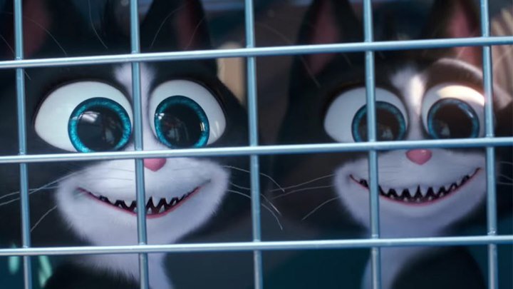 Тайная жизнь домашних животных 2 — Трейлер мультфильма (2019) Дата выхода ...