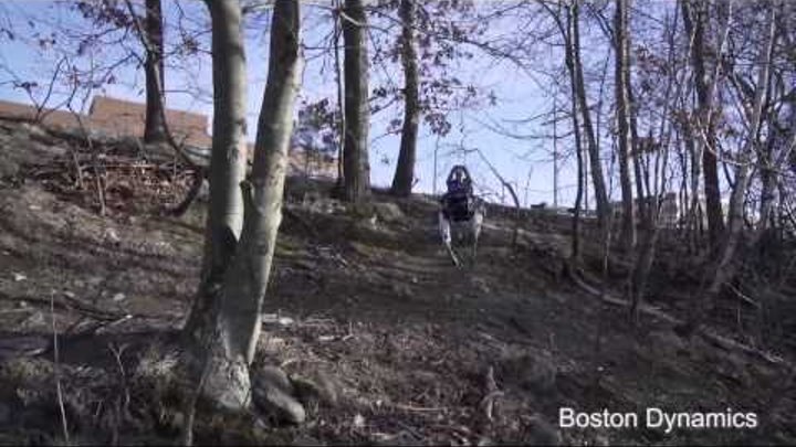 Boston Dynamics продемонстрировала нового робота по кличке Spot