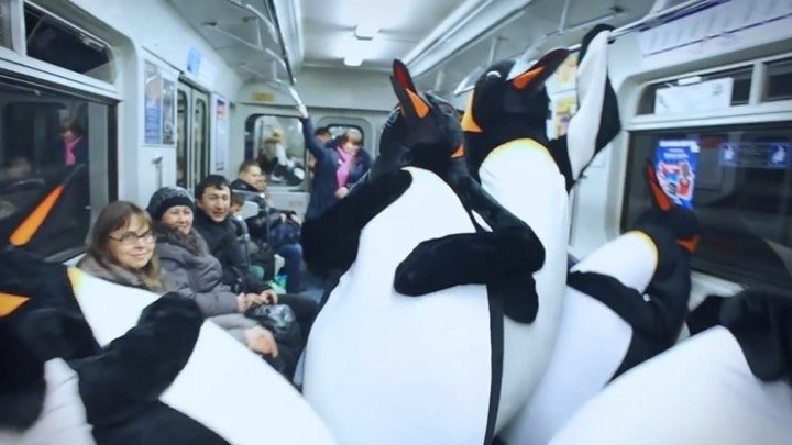 Пингвины в метро