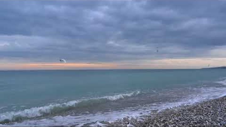 Изумрудное море, чайки!) Погода в Лазаревском, Сочи 14 марта 2018. Пляж санатория "Бирюза"