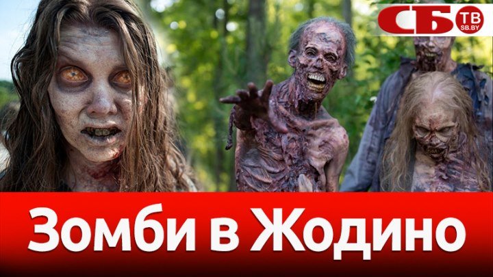 Зомби захватили Жодино: как прошел забег Zombie Run