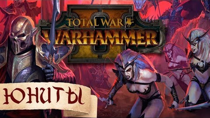 Темные эльфы - ⚔ВСЕ юниты и их история📖 Total War: WARHAMMER 2