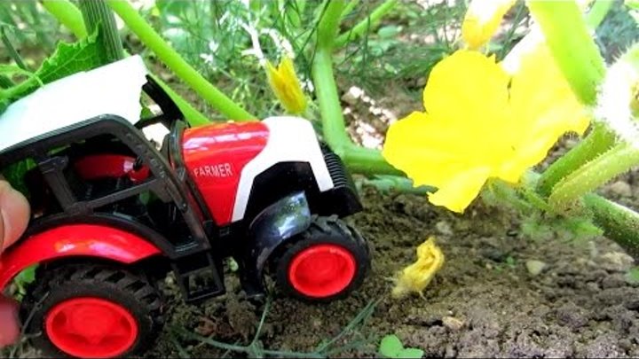Развивающее видео про трактор. Огород - овощи и фрукты