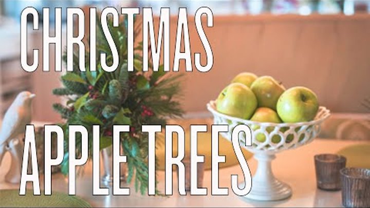 Christmas Apple Trees