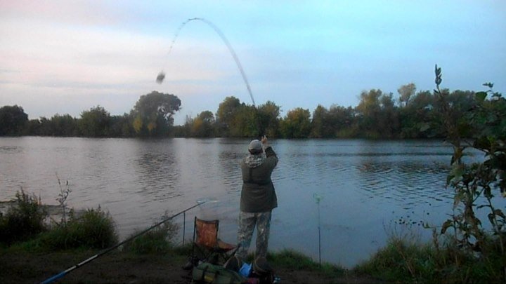 Фидерная рыбалка в сентябре на нижней Москве-реке.