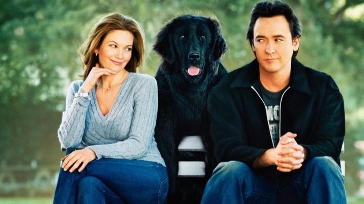 Любовь к собакам обязательна HD(мелодрама, комедия)2007