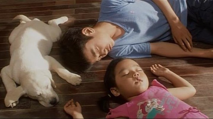 Искренние лапы / Сердечко / Hearty Paws (Корея Южная 2006) Драма, Семейный