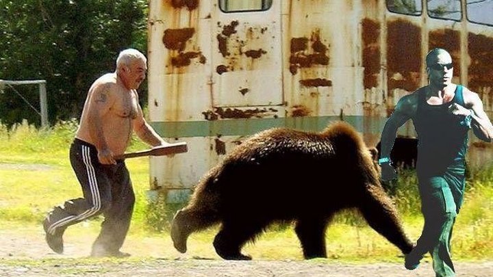 Американец и русский при встрече с медведем