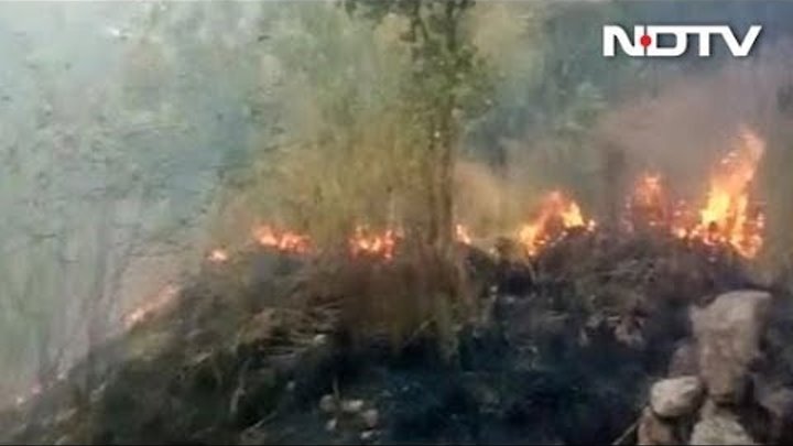 36 Trekkers Trapped In Tamil Nadu's Theni Forest Fire, Rescue Operations Underway