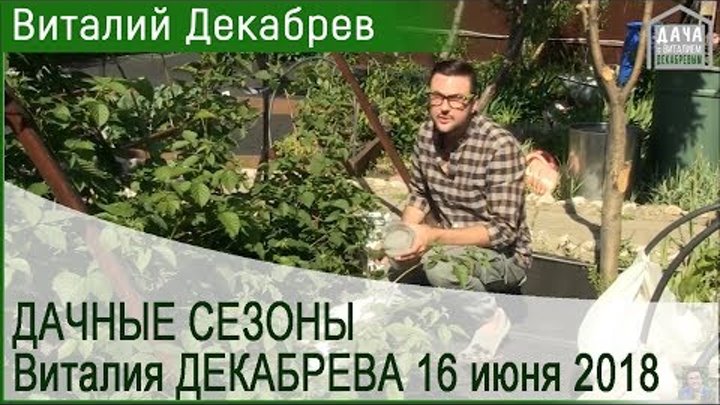 Дачные сезоны с Виталием Декабревым. 16 июня 2018