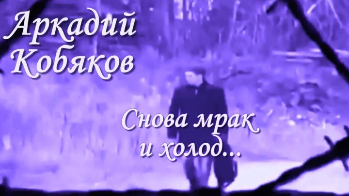 Аркадий Кобяков Снова мрак и холод( трогательно до слёз)