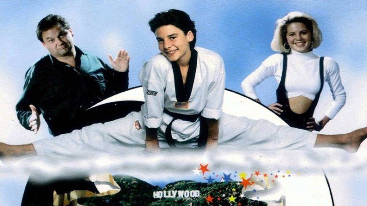 Молодой Ниндзя / Чудо-парень / Ниндзя-драконы (США 1993 HD) Комедия, Боевик