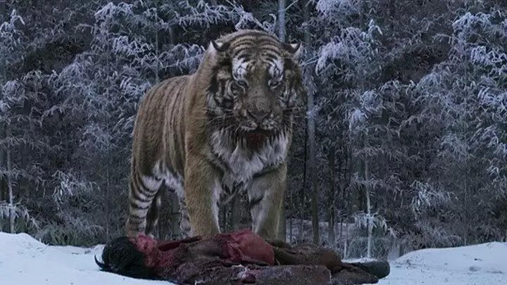 Великий тигр (2015) драма, триллер, история