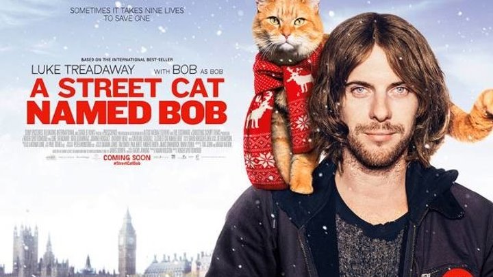 Уличный кот по кличке Боб HD(драма, комедия, семейный, биография)2016