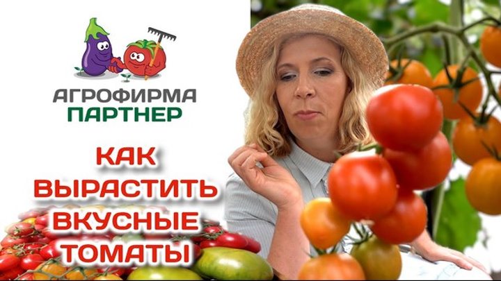 Как вырастить вкусные томаты | #огород #семена #томаты