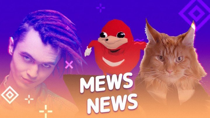 Mews News | Итоги 2018 кота