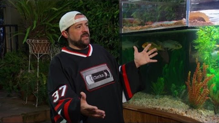 Kevin Smith Loves His Custom Aquarium Stocked With Turtles and Koi!