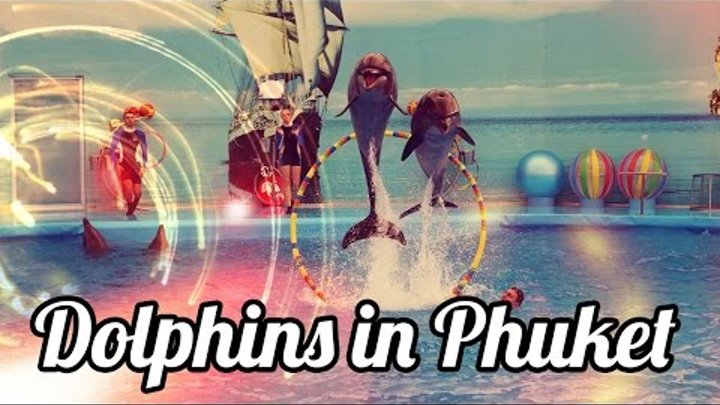 Дельфинарий Немо на Пхукете ♒ Dolphinarium Nemo Dolphins Bay Phuket
