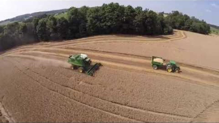 Wheat Harvest 2015 at Less & Less Farms near Greenford Ohio