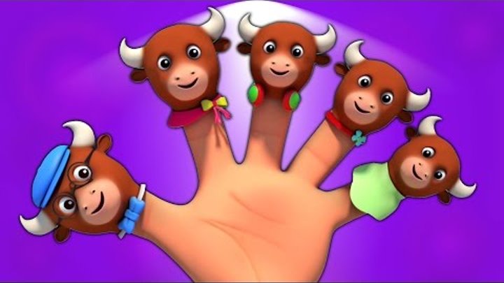 Быки Палец Семья | детский стишок | Kids Rhymes | Music For Babies | Kids Song | Bulls Finger Family