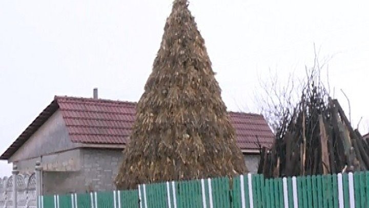 După Chișinău, și Sangerei are pom de Crăciun. Al doilea an consecutiv, un gospodar din Heciul Vechi a adunat toți cioclejii de pe camp, i-a aranjat în forma de brad și l-a împodobit cu globuri și ghirlande: a devenit mandria satului