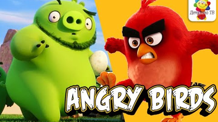 ЗЛЫЕ ПТИЧКИ - Angry Birds - Энгри Бердс - СБОРНИК серий! Мультфильмы для детей 2016