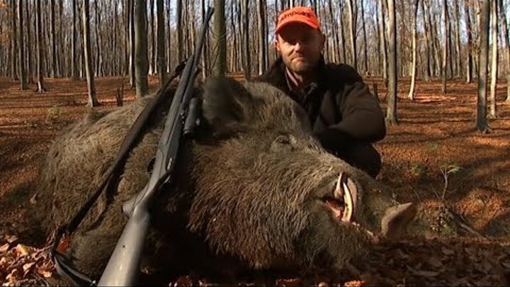 Ini dia 5 orang pemburu babi terbaik di dunia (aimpoint)