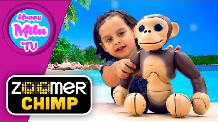 HappyMilaTV #257 | ZOOMER Chimp Untamed FUN! He’s Your PRIME-mate! Unlock Tricks The More You Play
