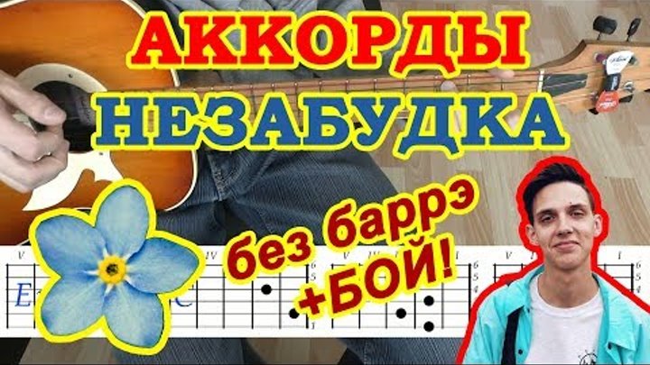 Незабудка Аккорды ♪ Тима Белорусских ♫ Разбор песни на гитаре 🎸 Бой Текст