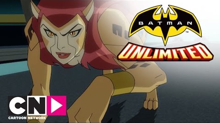 Гонка началась! Бэтмен и Флэш против Читы| Бэтмен без границ | Cartoon Network
